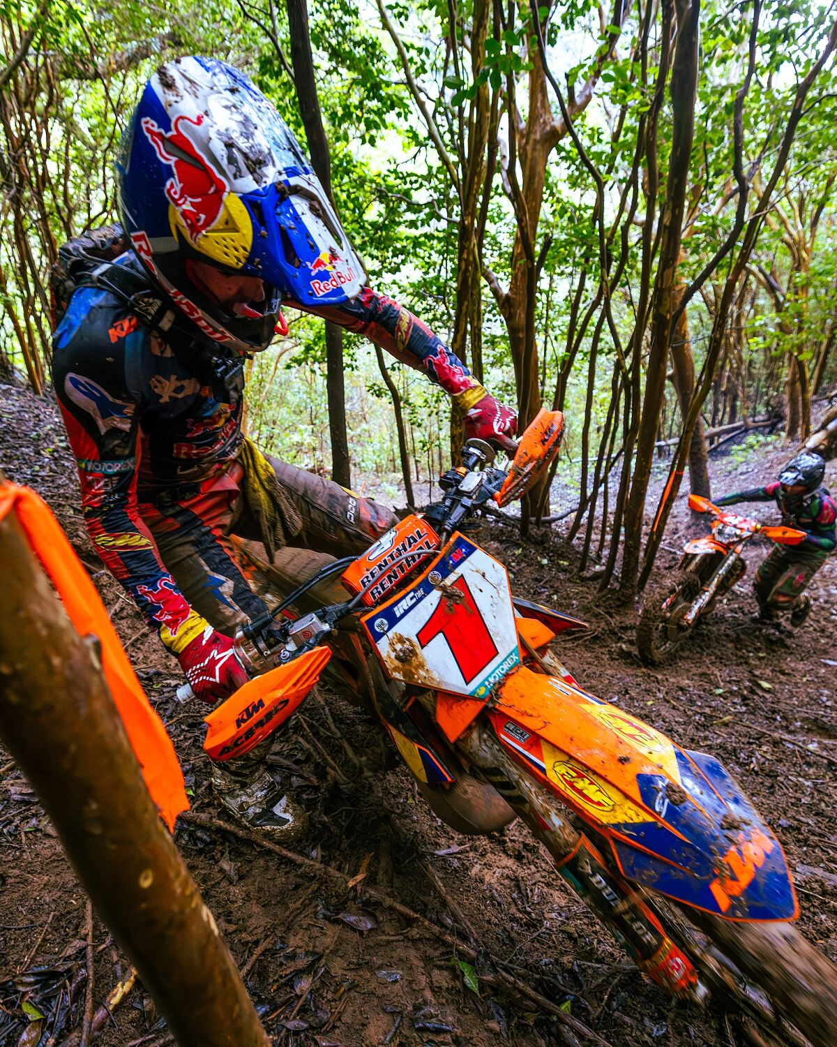 TRYSTAN HART 03 - FMF KTM FACTORY RACING - ULTIMATE HAWAIIAN