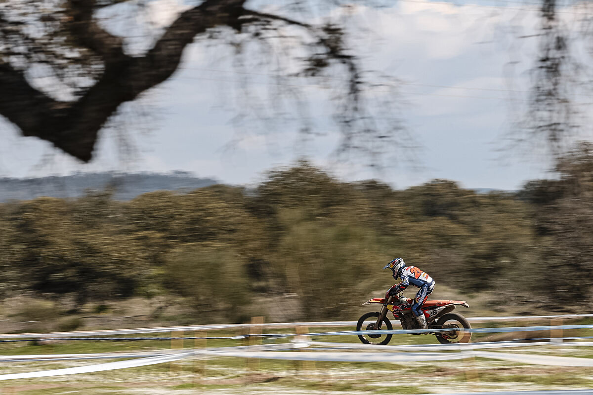 Josep García_CEE_VALDECABALLEROS (Badajoz)