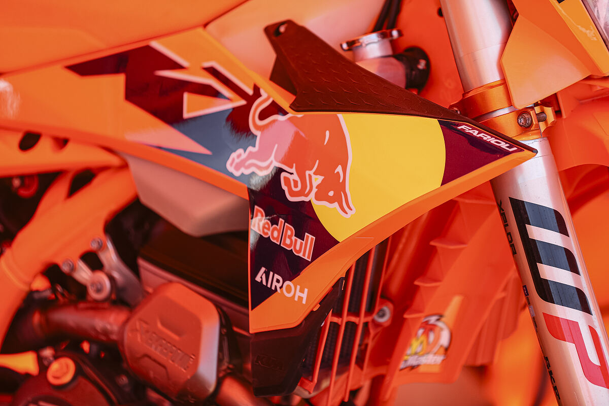 Josep García_CEE_ANTAS (Almería)