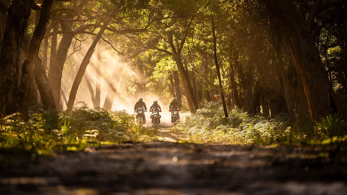 2027-KTM-Australia-Adventure-Rallye-VIC-Ranges
