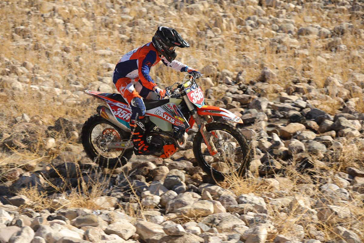 006DANTE OLIVEIRA