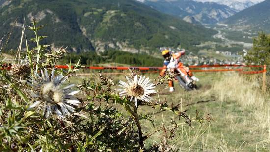 TROFEO ENDURO KTM 2017_SAUZE_ 2