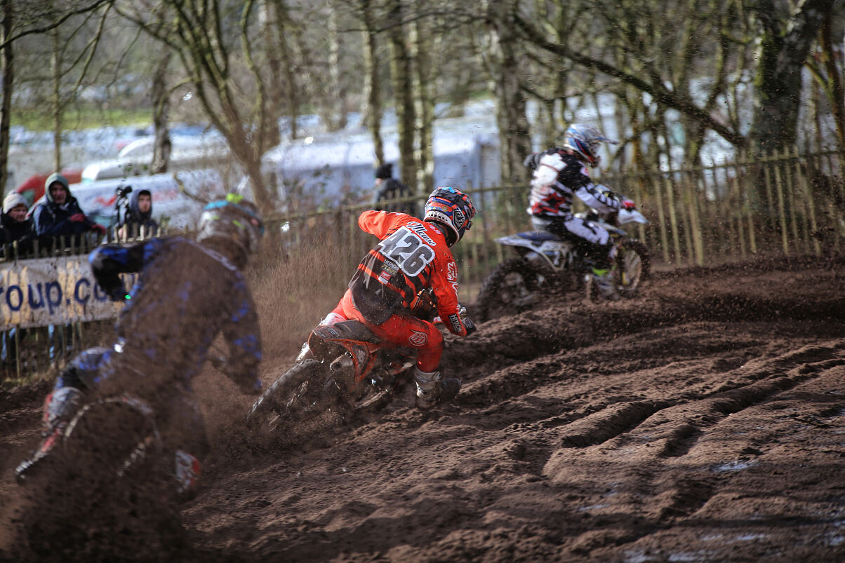 Hawkstone Mewse 4