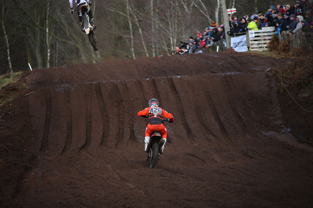 Hawkstone Mewse 2