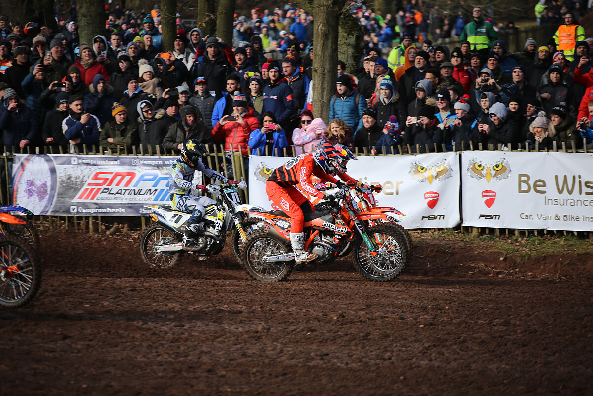 Hawkstone Mewse 1