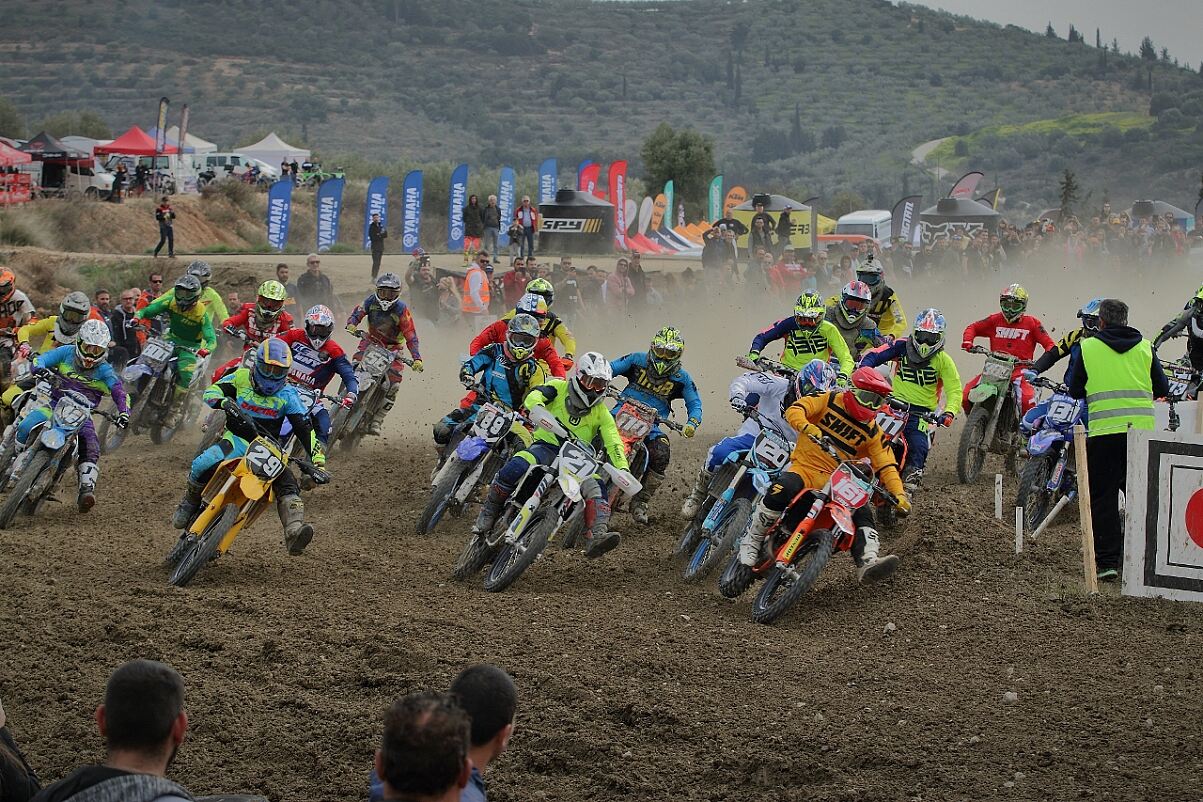 MX2