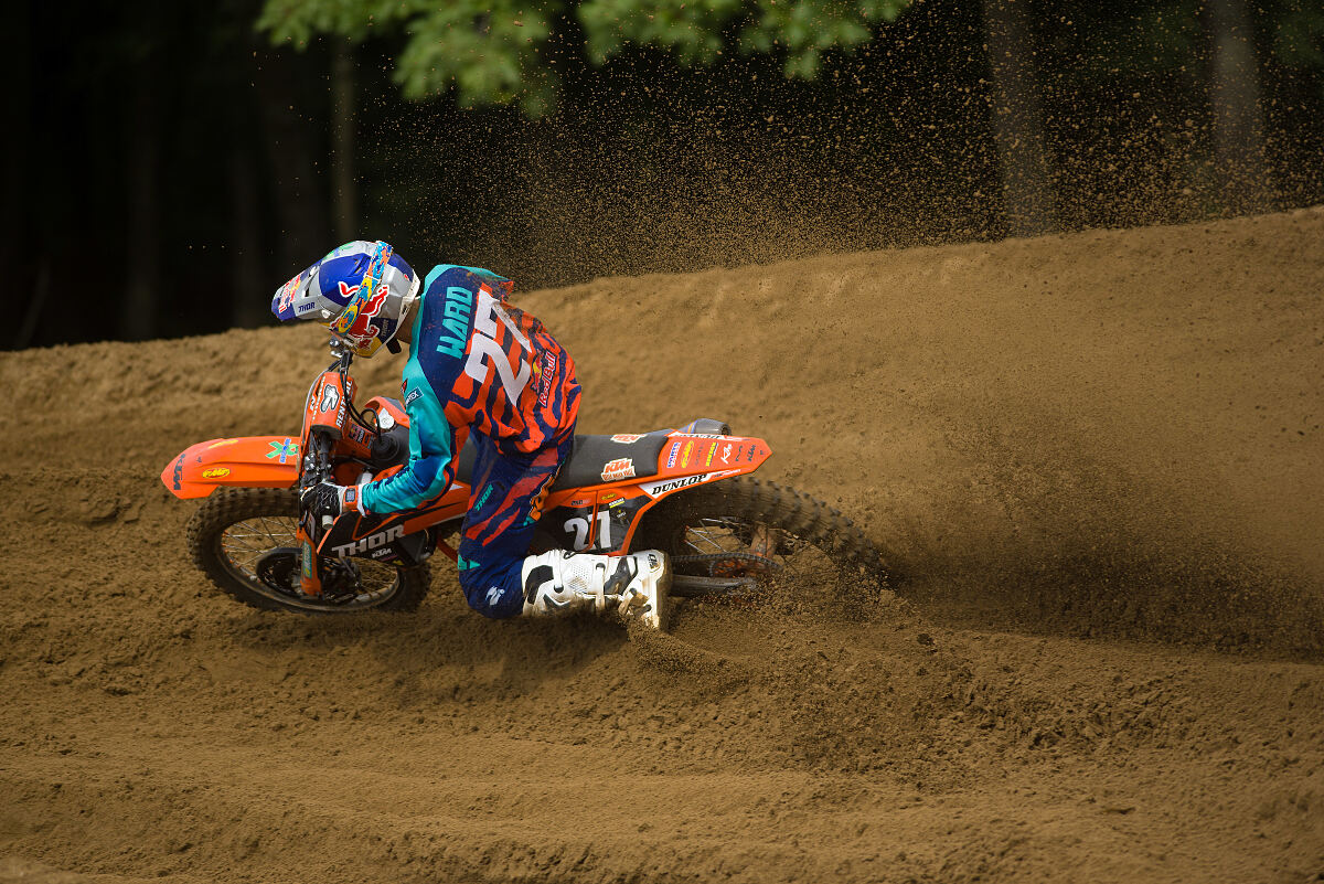 t.ward_18_gopher_jl_0873