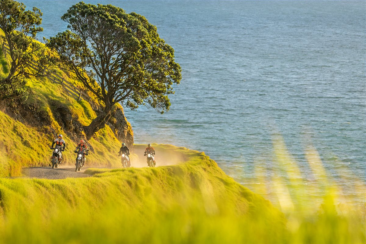 2018 KTM New Zealand Adventure Rallye Northland 01