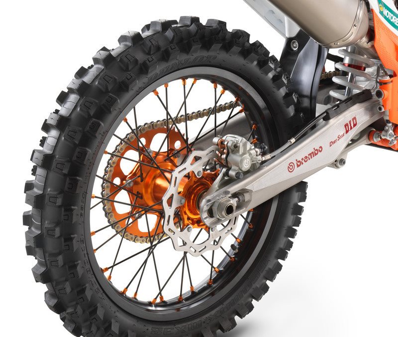 256381_Wheel 2019