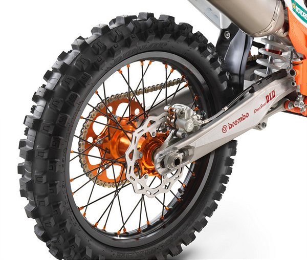 256381_Wheel 2019