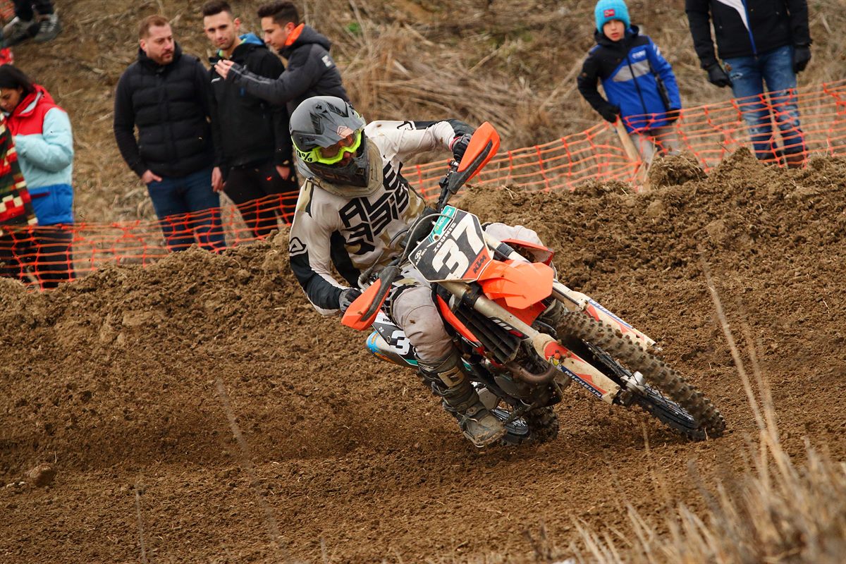 #37 Franky Zounis