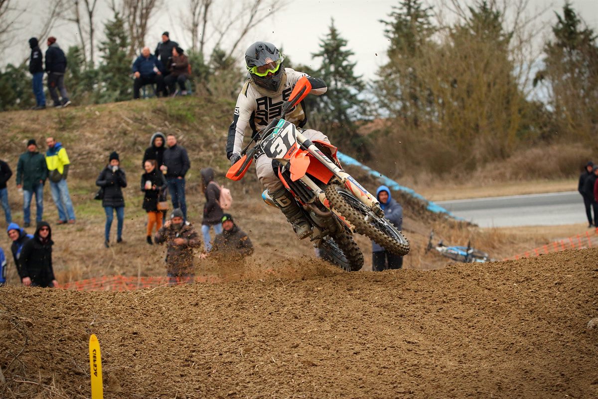 #37 Franky Zounis