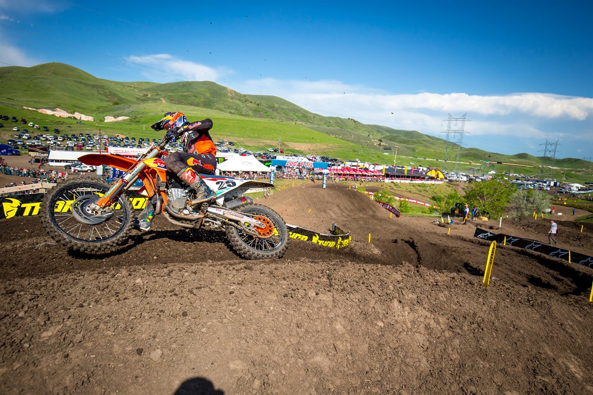 Musquin 3