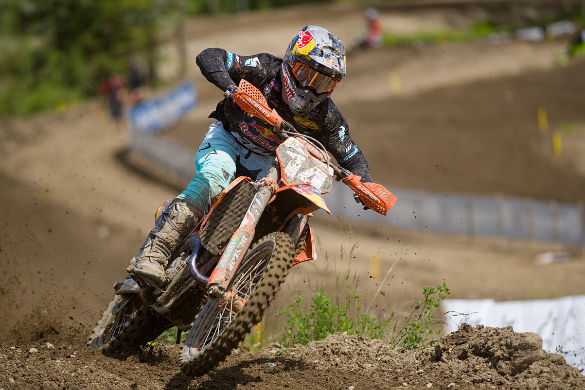 t.ward_19_PG_jl_1984
