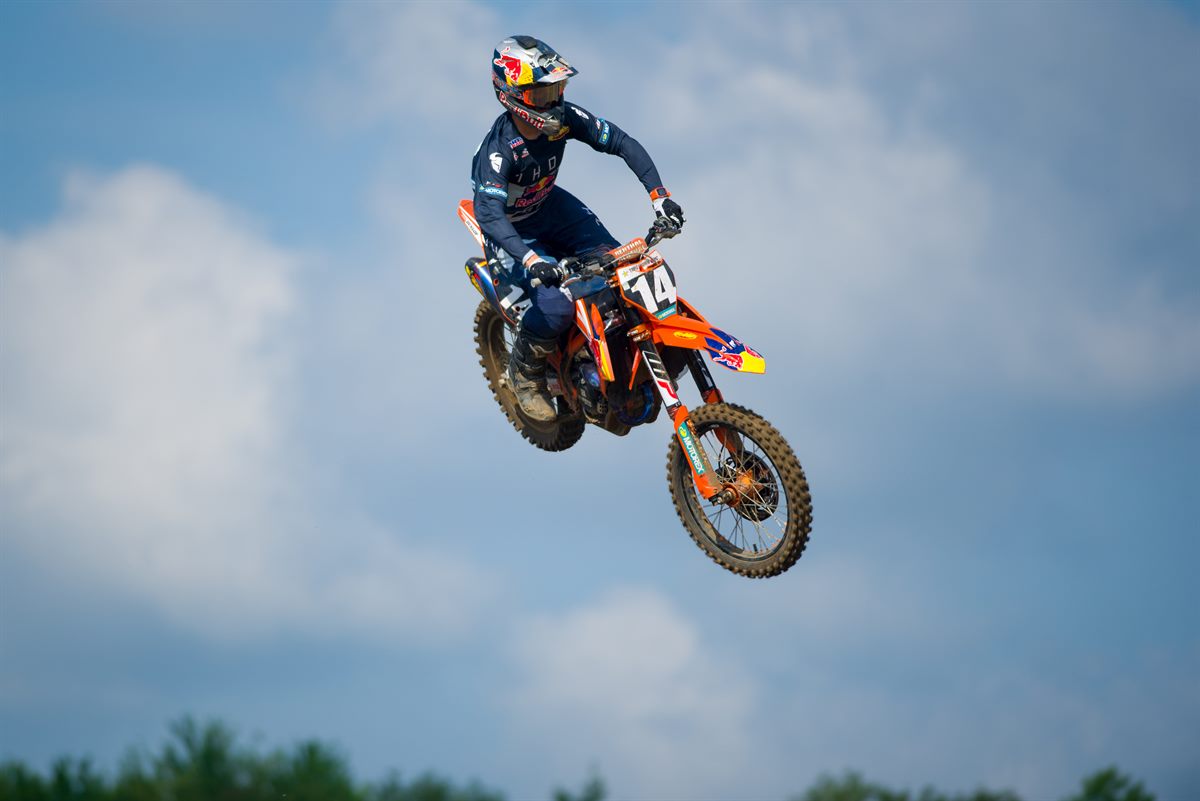 t.ward_19_gopher_jl_1260