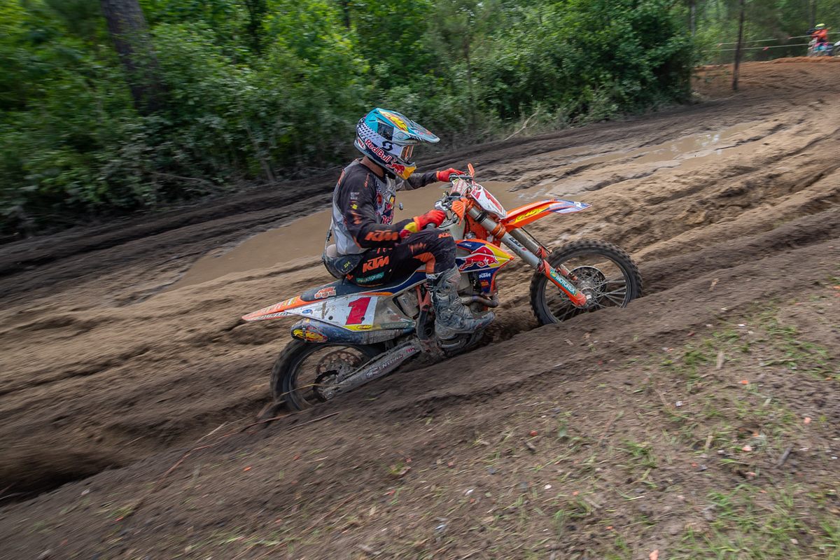 i-Fz6QZbQ-X2