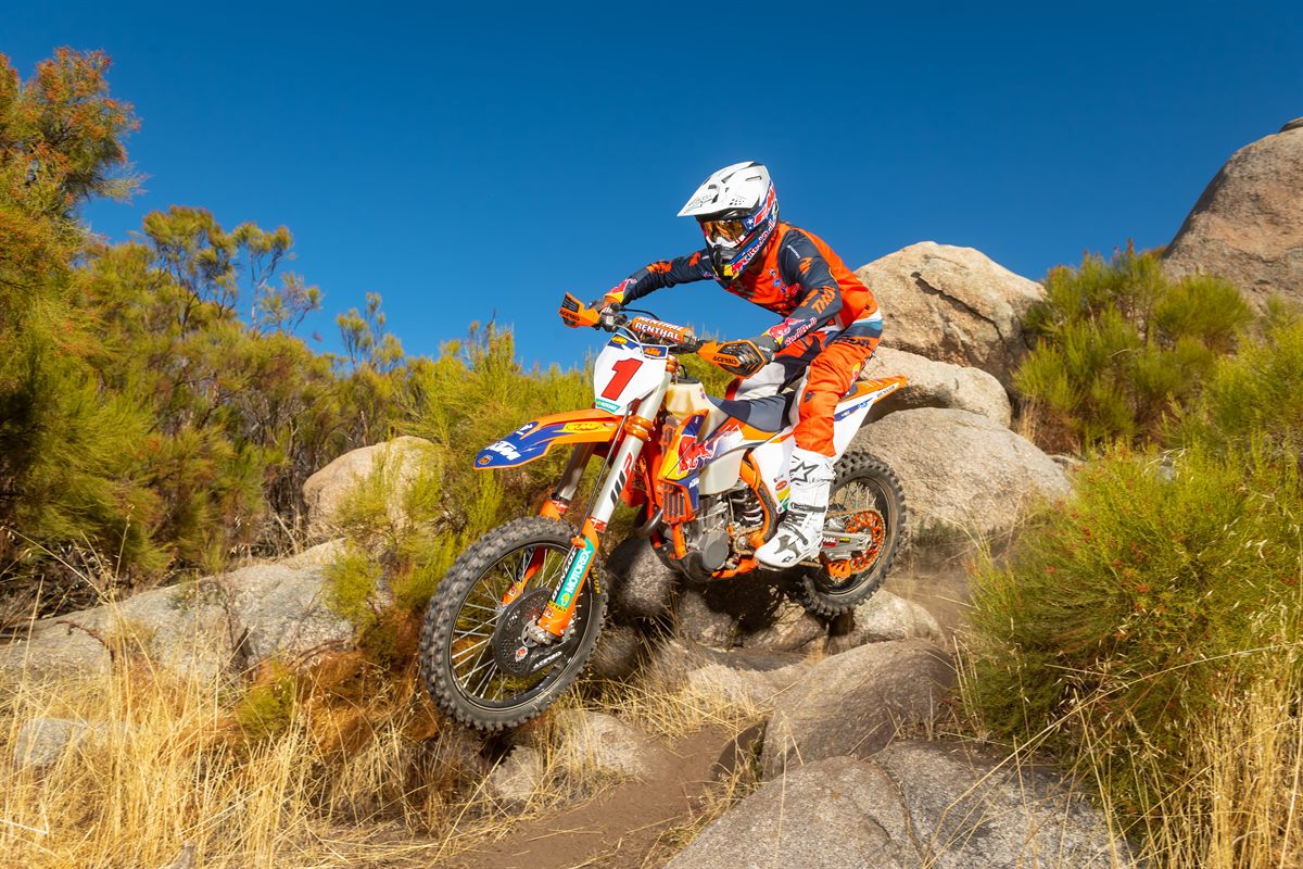 DANTE OLIVEIRA