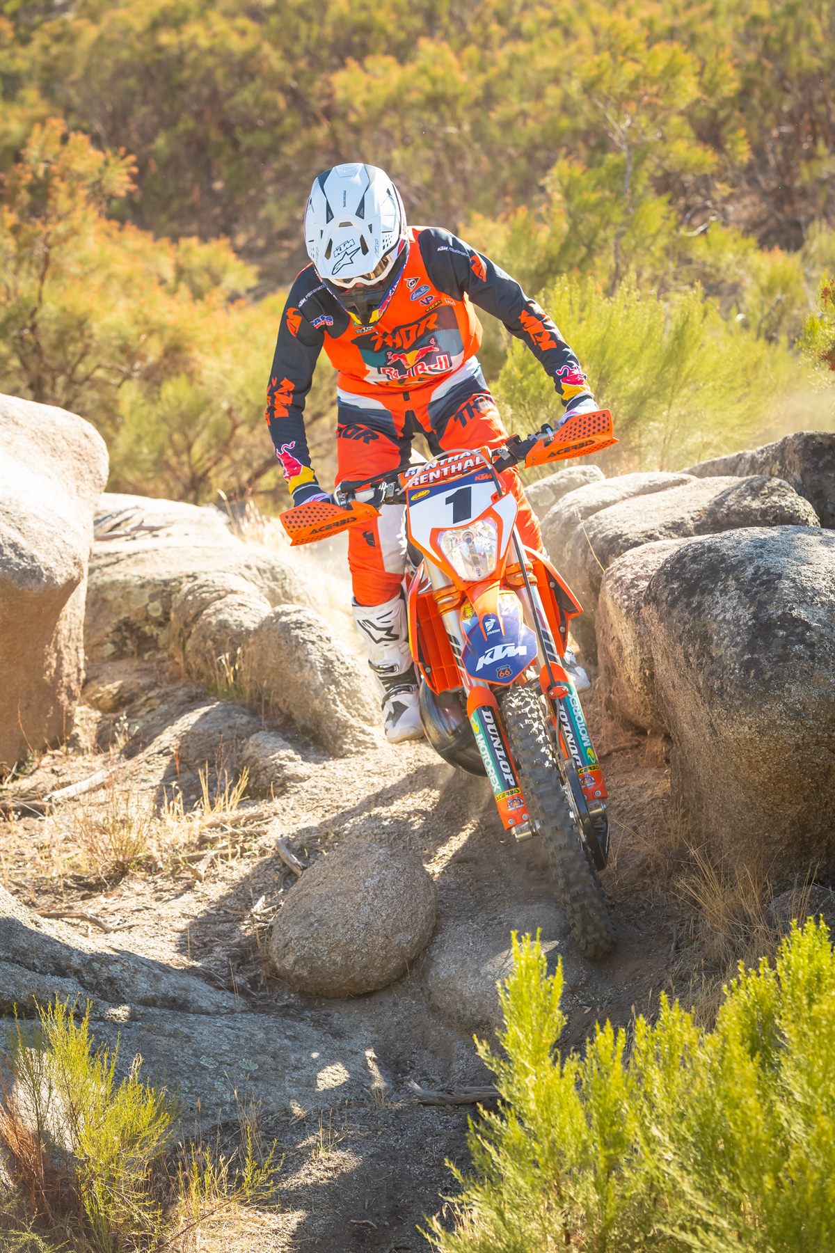 TRYSTAN HART
