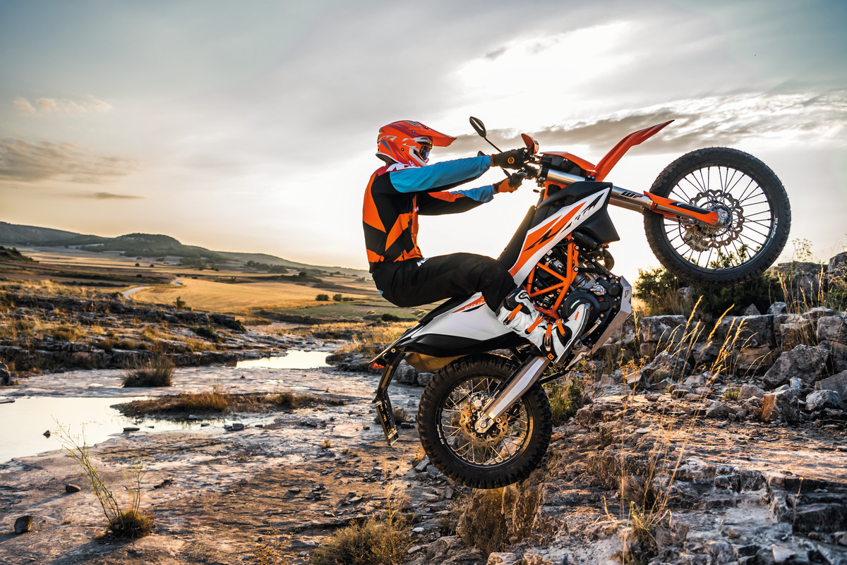 257033_KTM 690 ENDURO R 2019.jpg