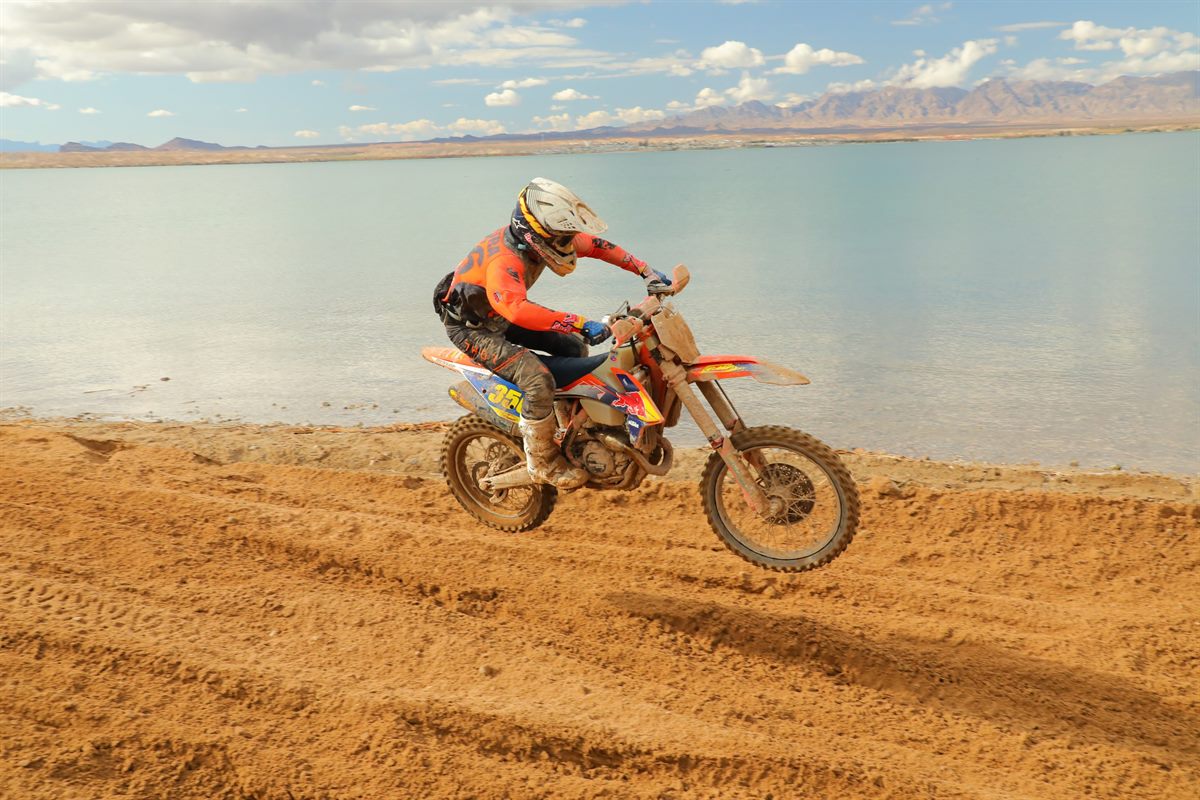 DANTE RD 1