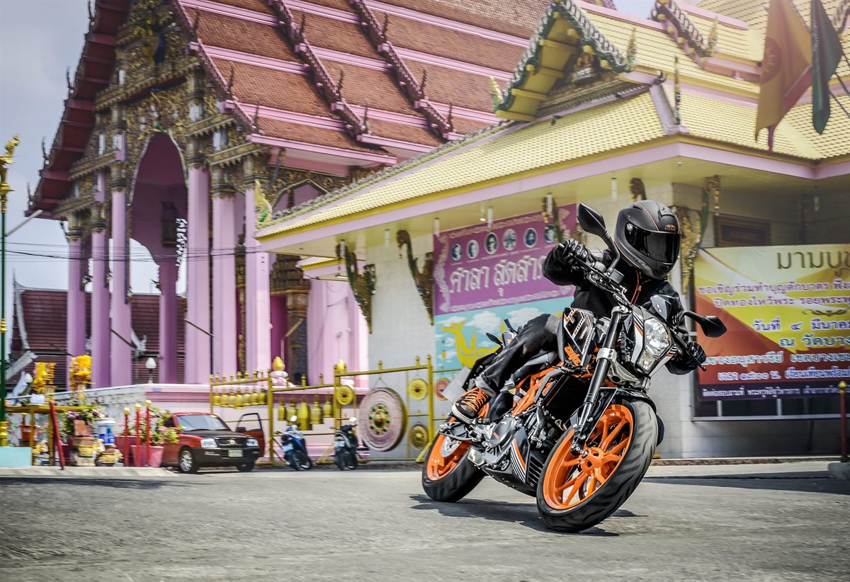 250 DUKE_Action 1_midres