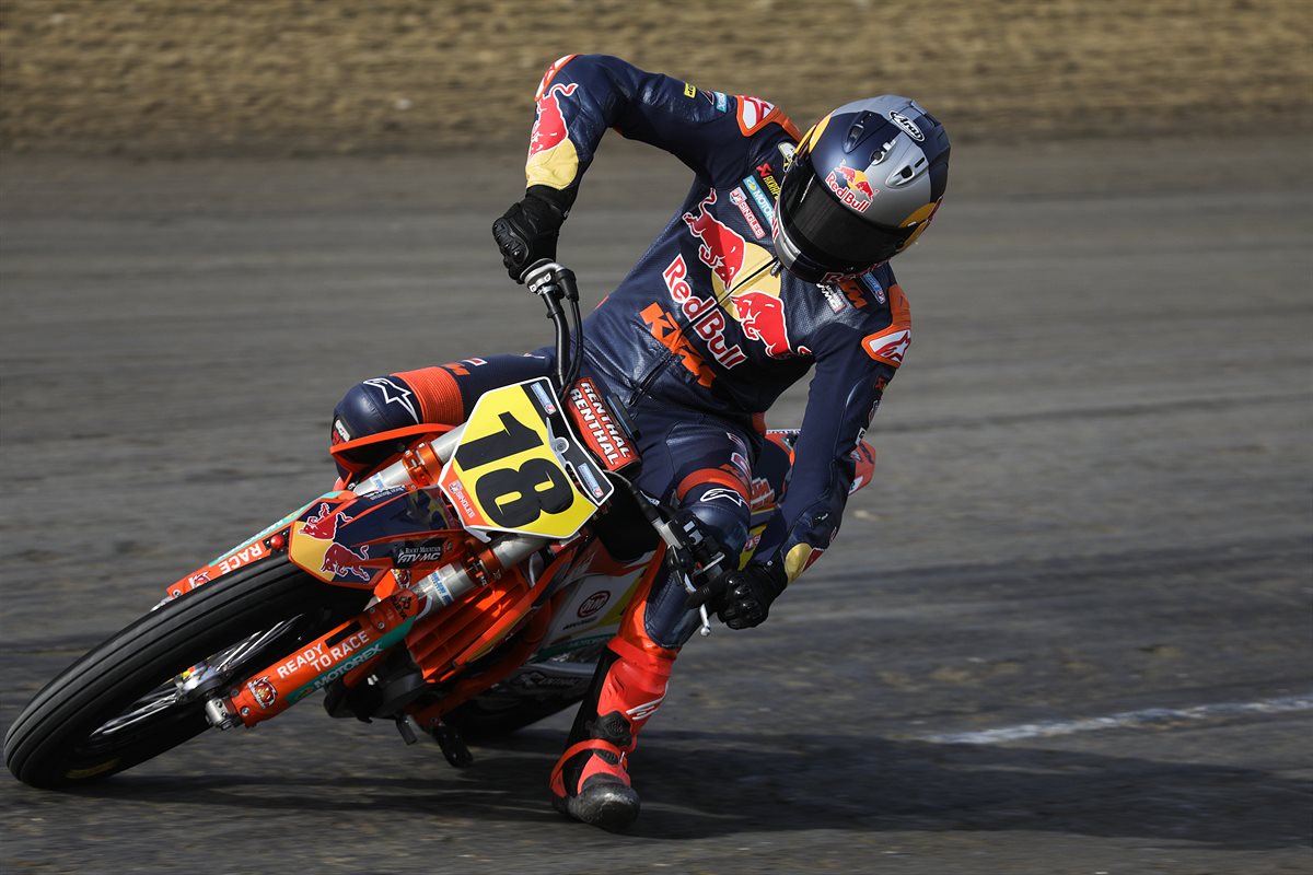 MAX VOLUSIA 2