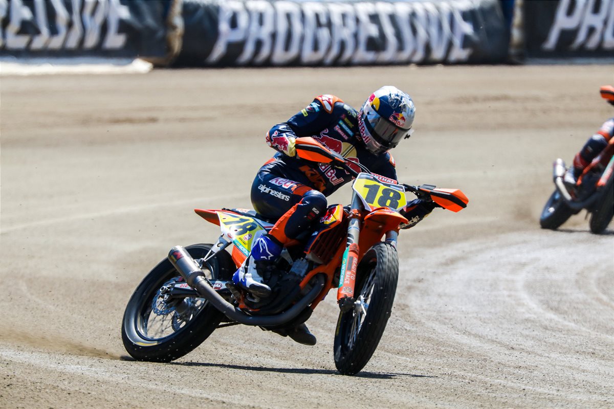 Red Bull KTM Factory Racing - Max Whale