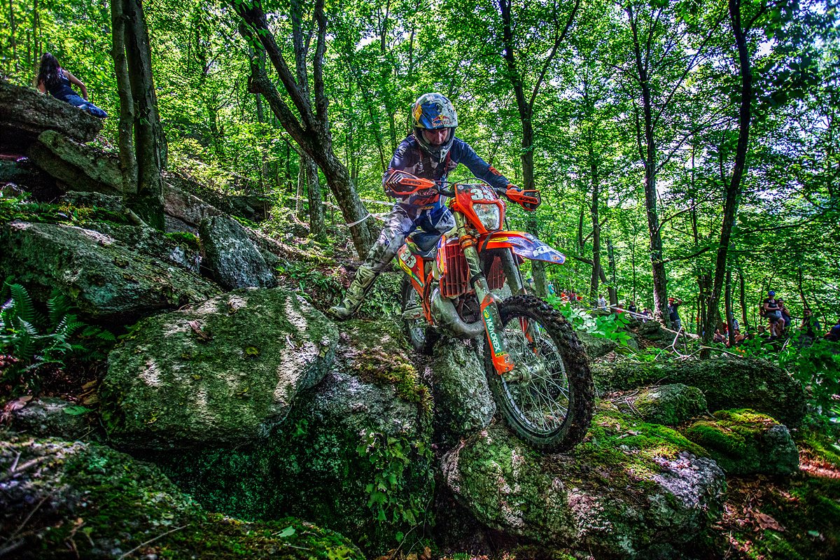 TAYLOR ROBERT - RORR