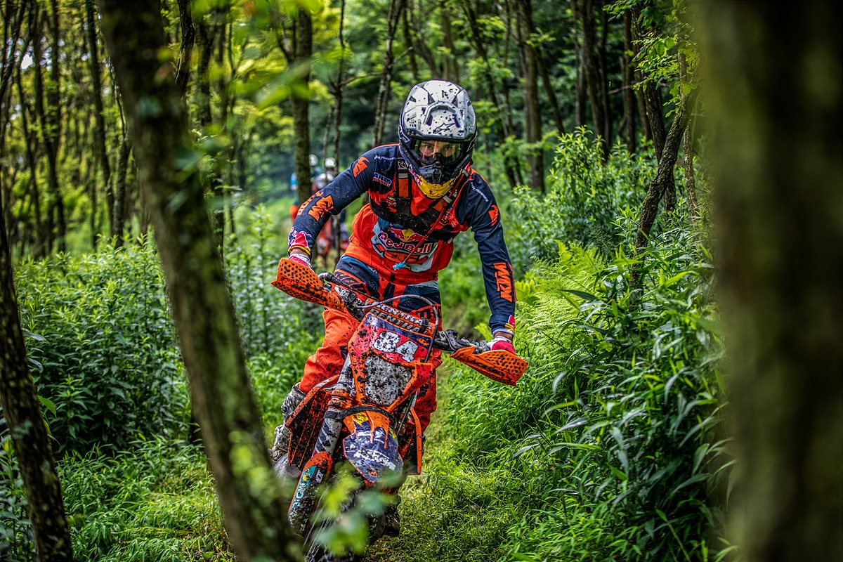 TRYSTAN HART - RORR 01