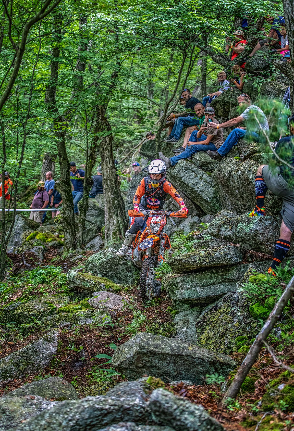 TRYSTAN HART - RORR 03