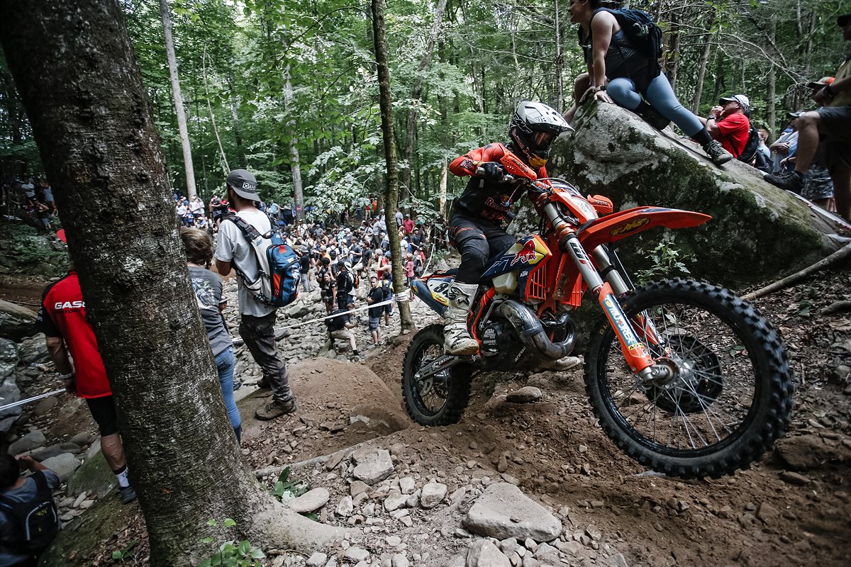 Trystan Hart - Red Bull TKO