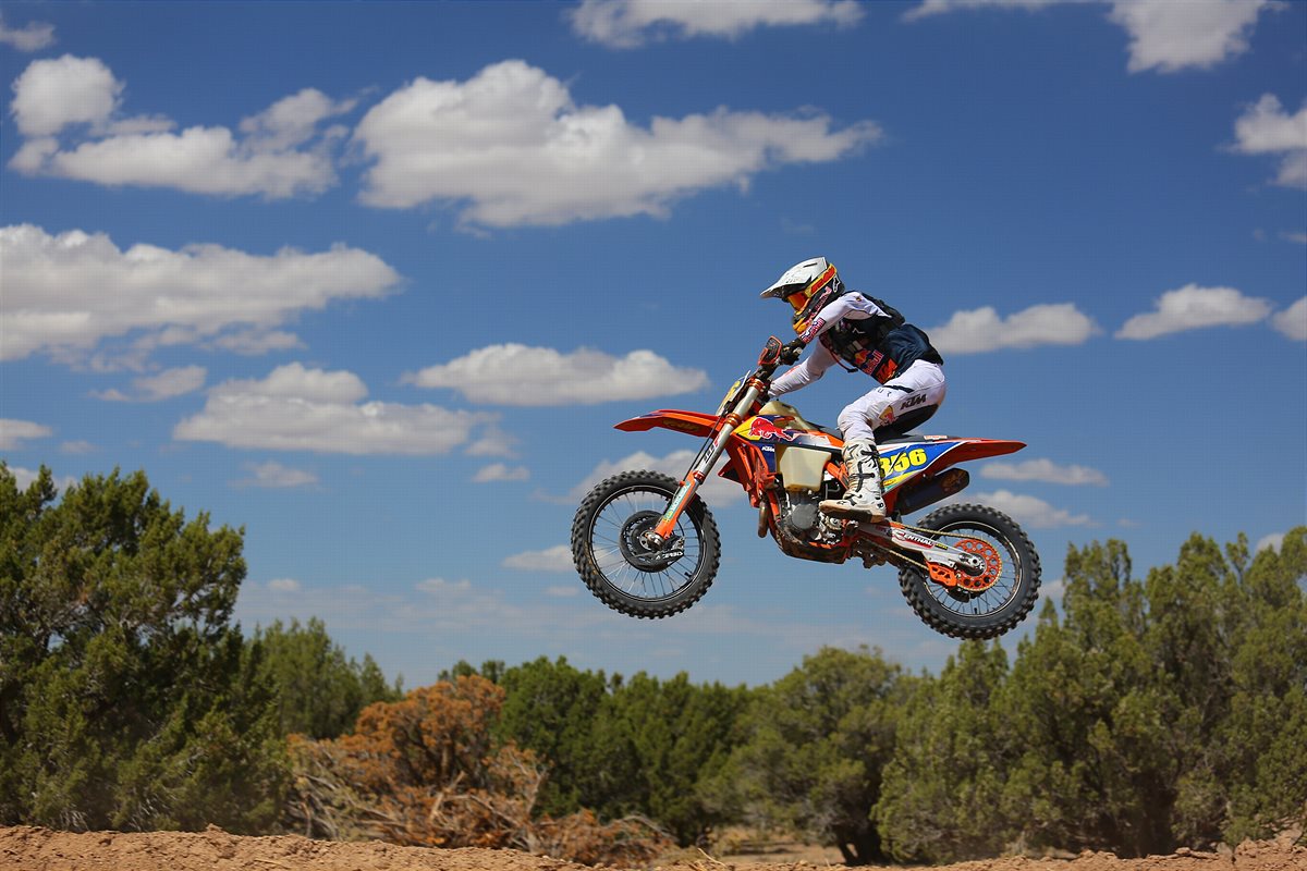 DANTE OLIVEIRA - ROUND 6