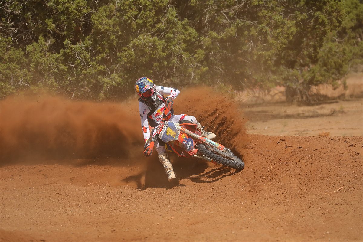 TAYLOR ROBERT - ROUND 6