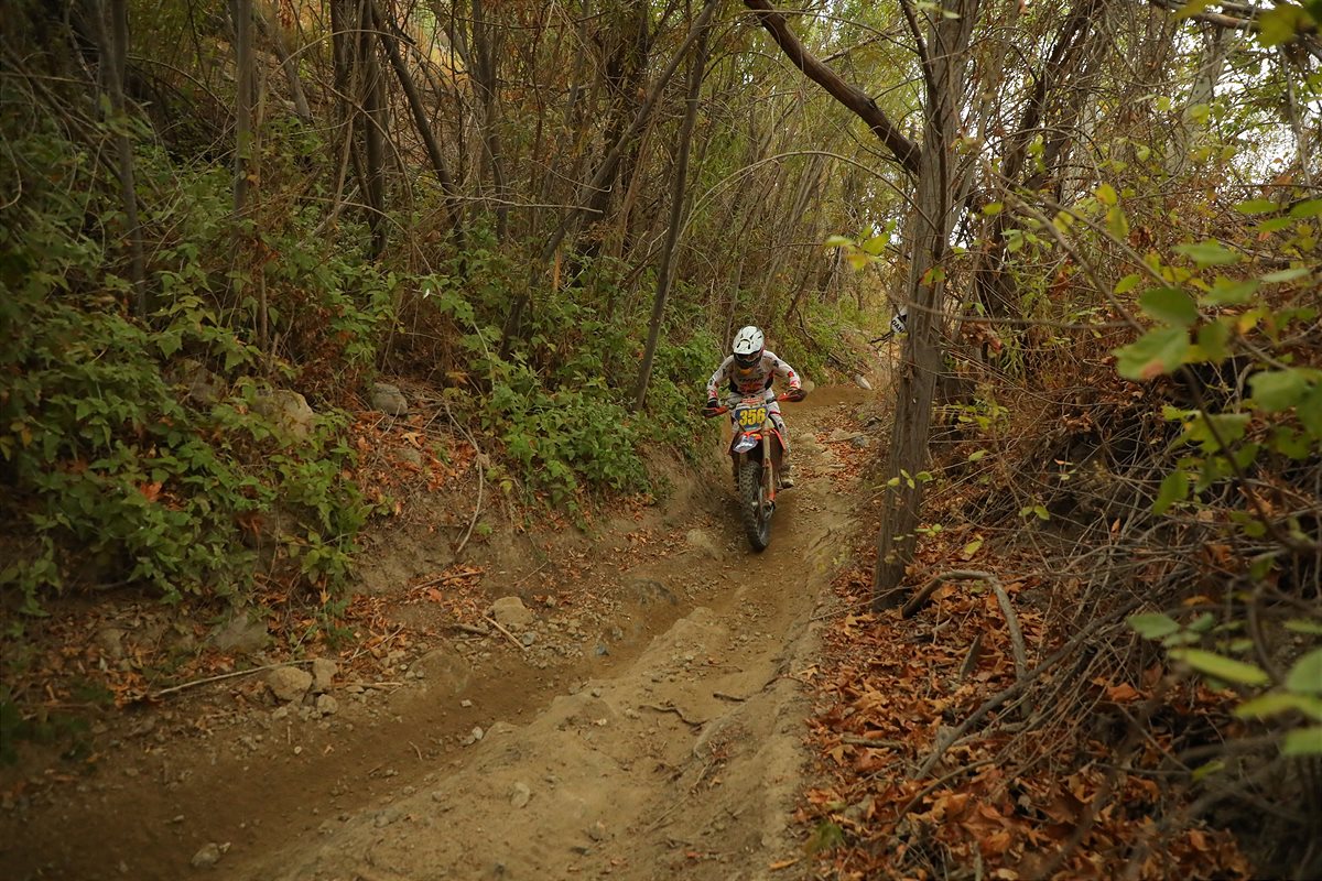TAYLOR ROBERT - WORCS RD 7