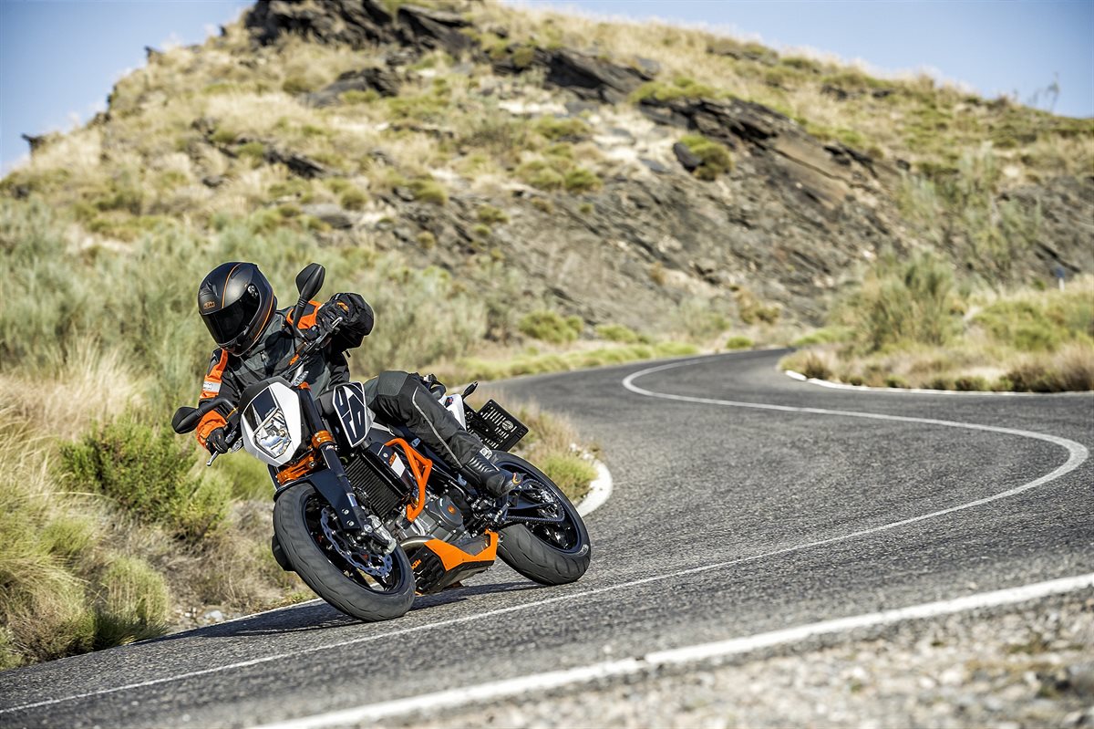 690 Duke_Action_2