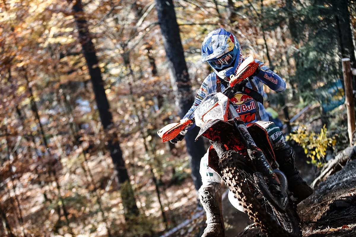Manuel Lettenbichler - Red Bull KTM Factory Racing