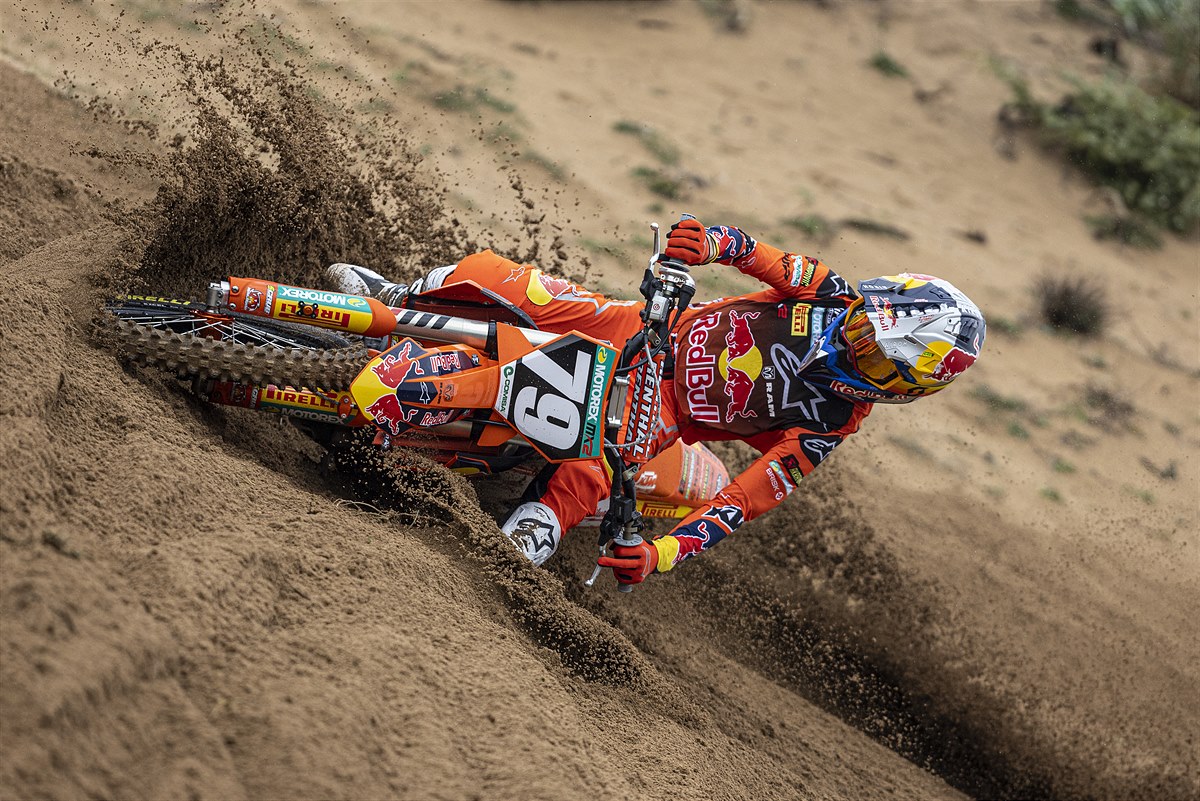 Sacha Coenen 2023 MX2 Red Bull KTM-1