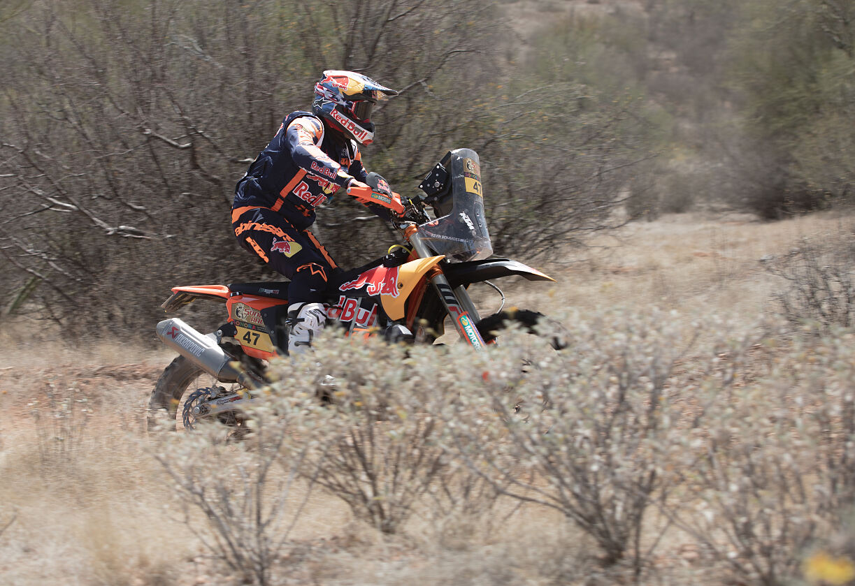 Kevin Benavides - Red Bull KTM Factory Racing - 2023 Sonora Rally