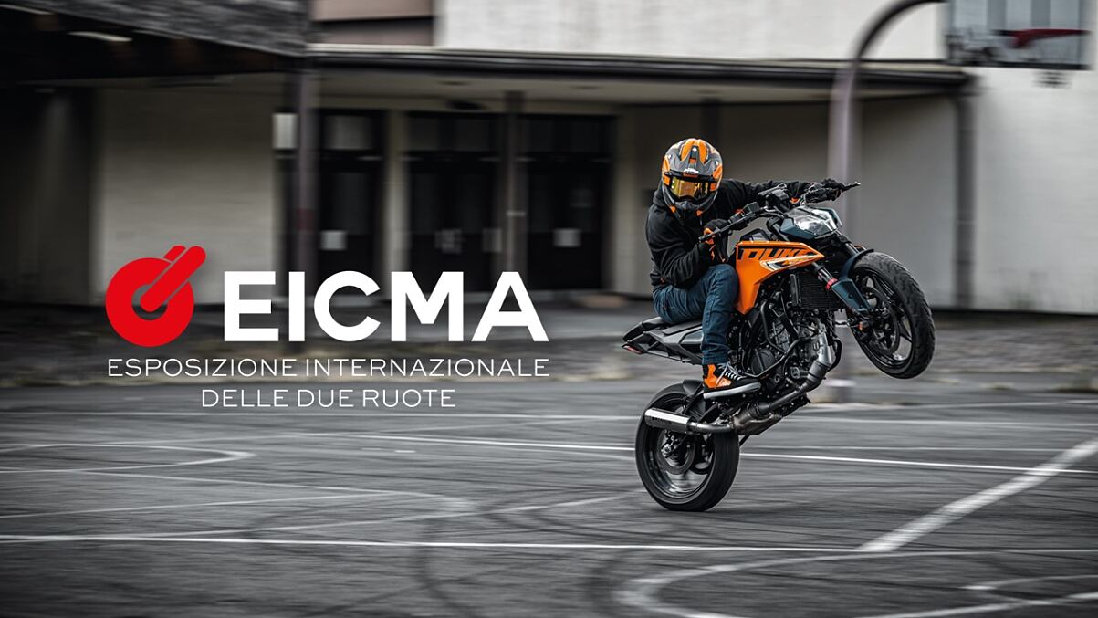 cover eicma