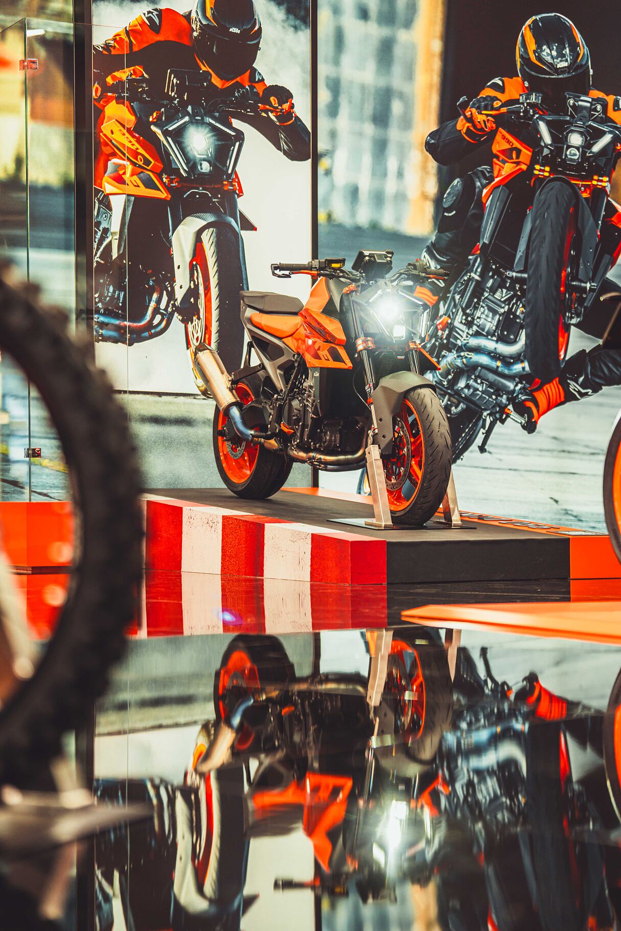 eicma_0811_Vigno--7