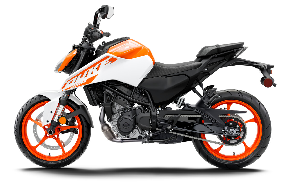 2024 KTM DUKE range