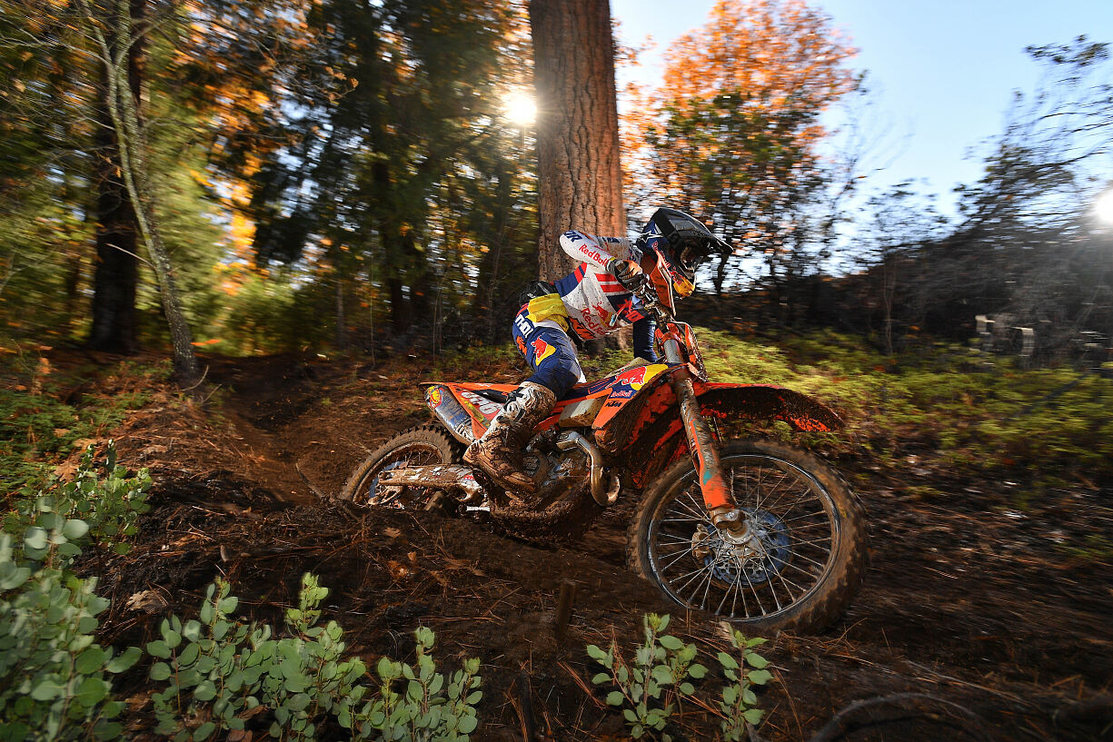 DANTE OLIVEIRA - FMF KTM FACTORY RACING