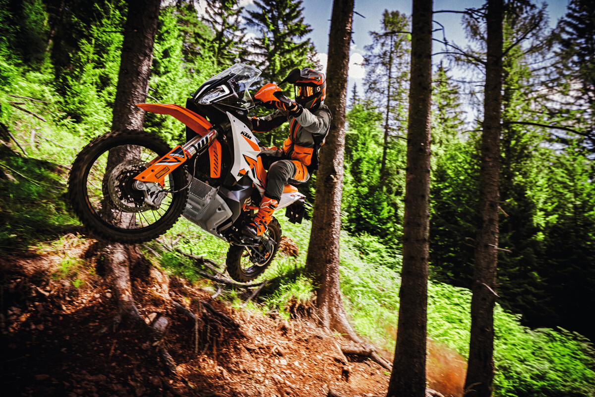 KTM 890 ADVENTURE R - Action