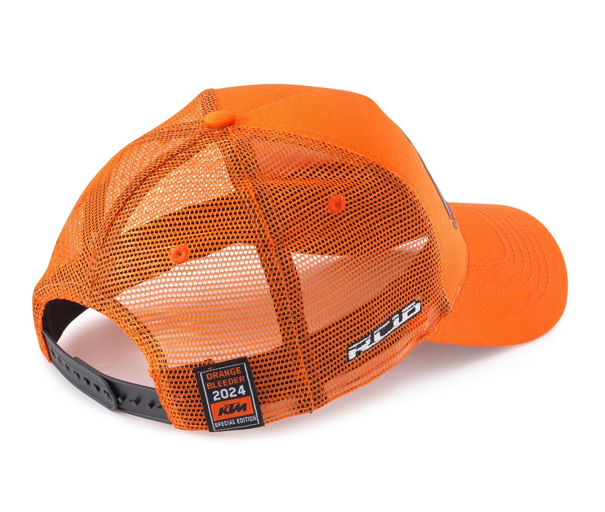 558703_CAP FAN PACKAGE SPIELBERG 24_BACK_Casual - ACCESSORIES