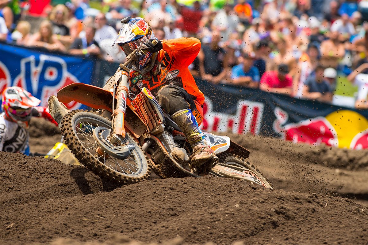 Simon-Cudby_Musquin-RedBud