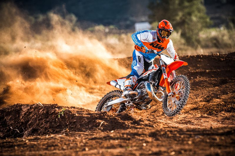 Schedl R._KTM250SX_MY2017