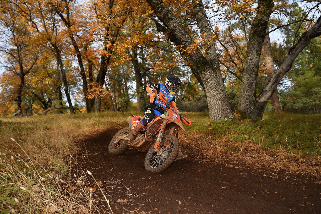 DANTE OLIVEIRA 02 - FMF KTM FACTORY RACING - WHS