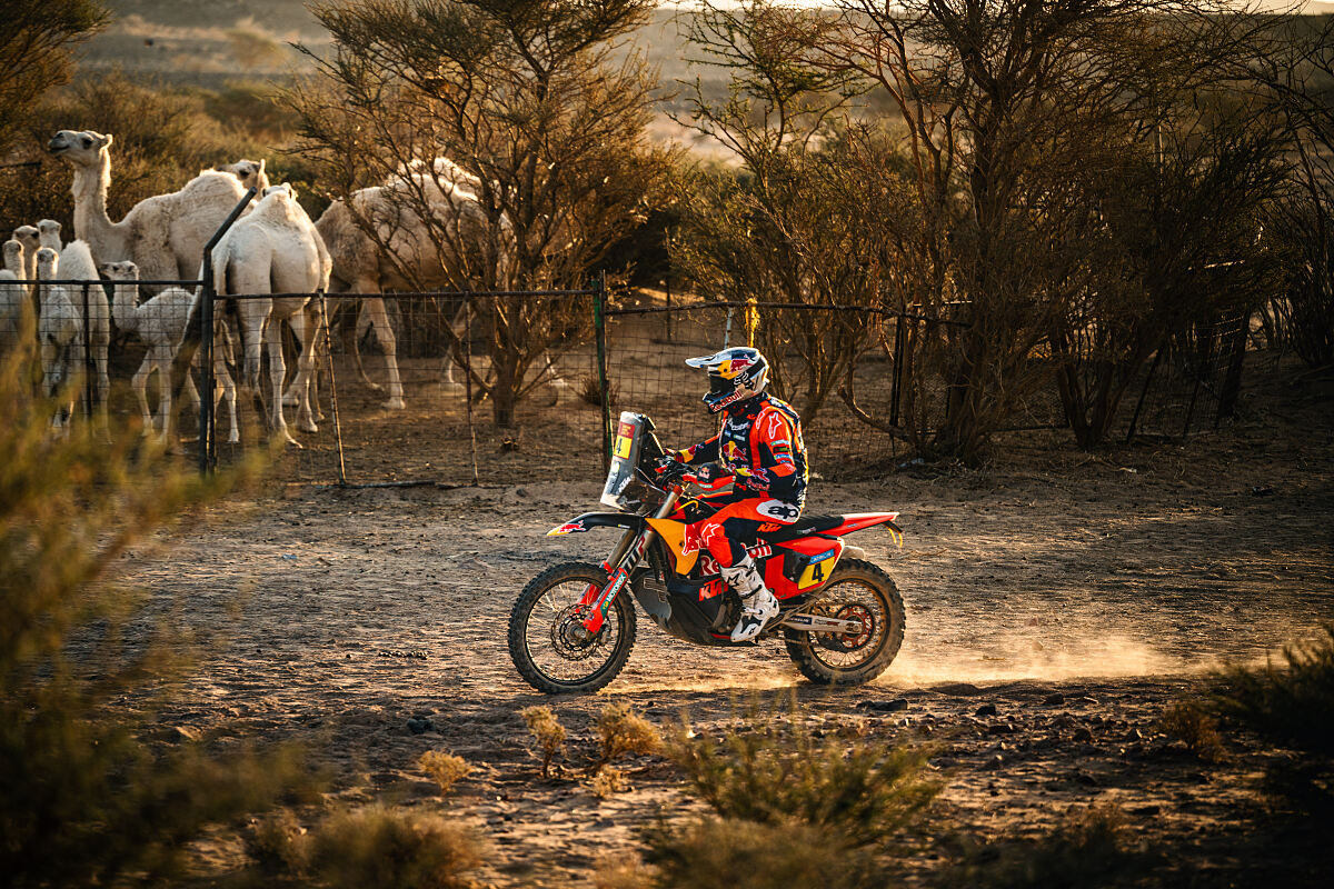 Daniel Sanders - Red Bull KTM Factory Racing - 2025 Dakar Rally