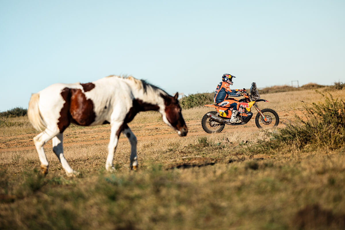 Red Bull KTM Factory Racing - 2025 South African Safari Rally