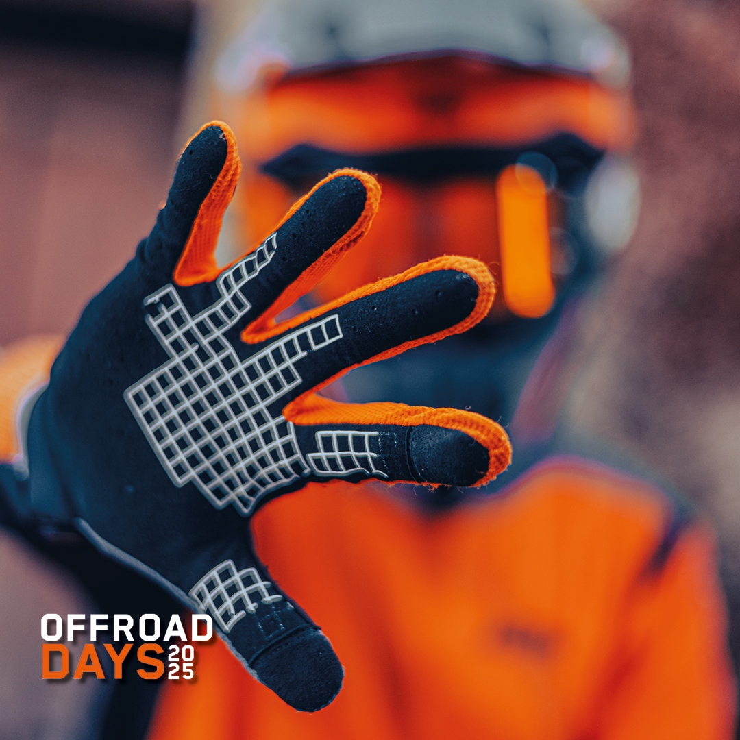offdays_some2